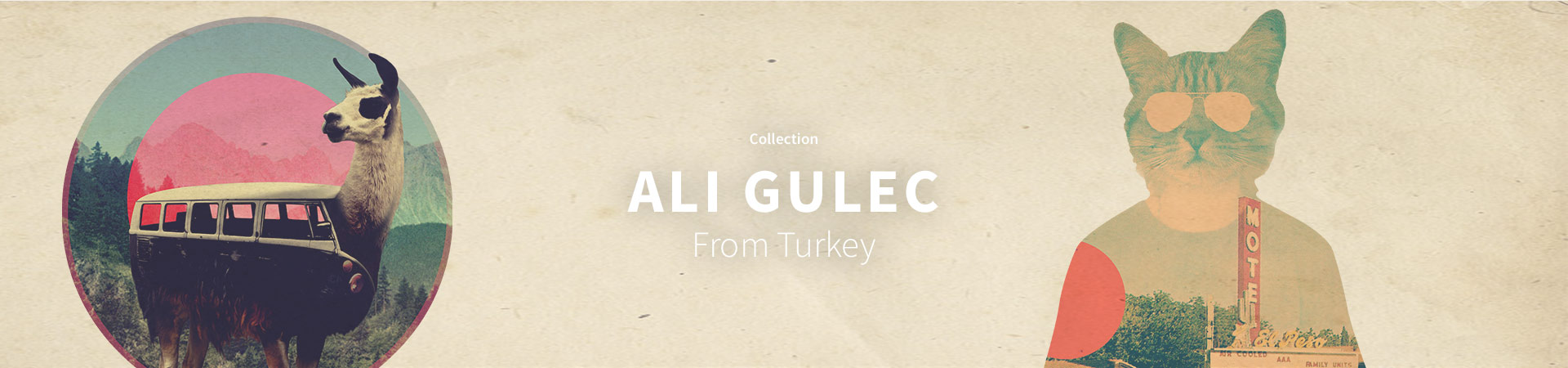Ali Gulec