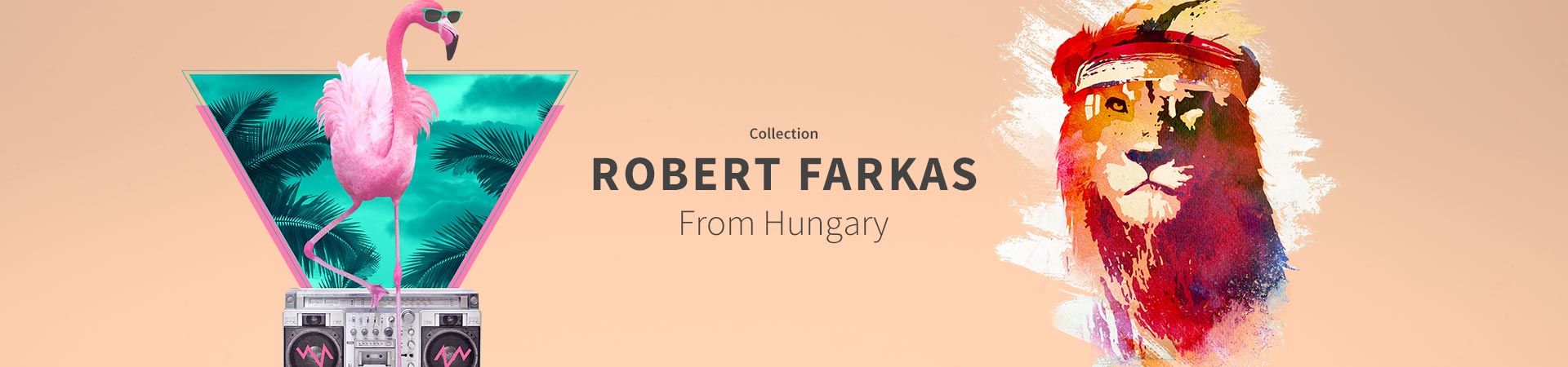 Collection Robert Farkas