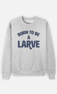 Sweat Born to be a Larve