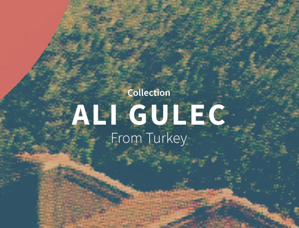 Un design original et unique, Ali Gulec nous dévoile son univers dans sa collection sur Wooop.fr